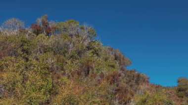 Güneşli bir günde Santa Barbara County, Kaliforniya 'daki tepeler ve dağlar. Geniş açı. Yüksek kalite 4k görüntü