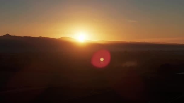 农村葡萄园农田 葡萄和葡萄的日出或日落景观 空中射击 高质量的4K镜头 — 图库视频影像