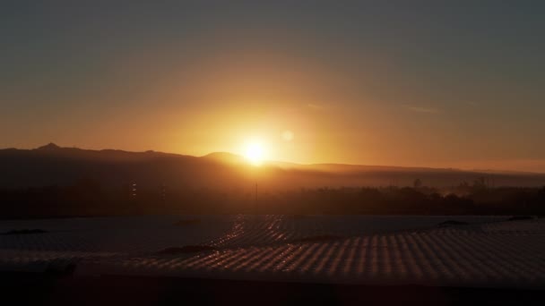 Схід Або Захід Сонця Насіння Виноградних Сільськогосподарських Полів Сільській Місцевості — стокове відео