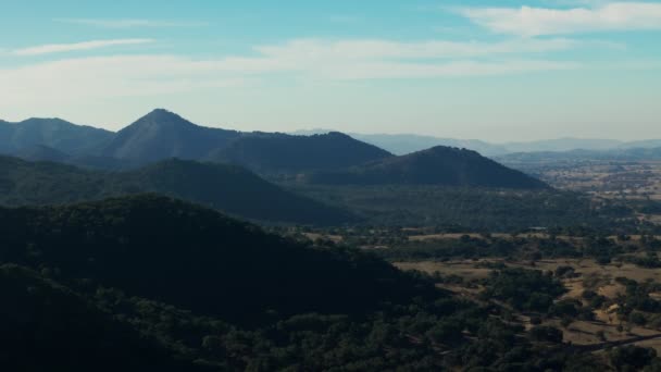 Drone Πετούν Γύρω Από Πάρκο Στο Πράσινο Λόφο Στην Καλιφόρνια — Αρχείο Βίντεο