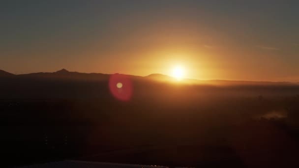 田舎のブドウ畑の日の出や日没の風景 グレープビンローとブドウ エアリアルワイド映像 高品質の4K映像 — ストック動画