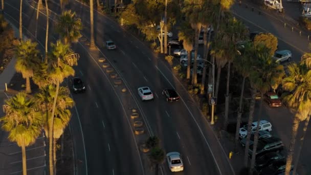 Aerial View Residential Houses Traffic Palm Trees City Santa Barbara — Stock Video