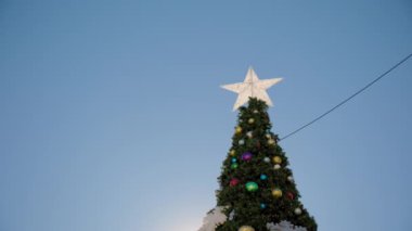Santa Barbara, Kaliforniya 'daki Noel ağacı, mavi gökyüzünün arka planında. Yüksek kalite 4k görüntü