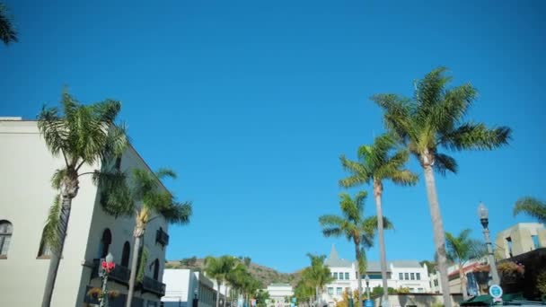 Pov View Santa Barbara Street Sunny Day Santa Barbara Usa — Stock Video