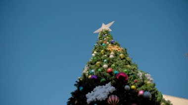 Santa Barbara, Kaliforniya 'daki Noel ağacı, mavi gökyüzünün arka planında. Geniş görüş. Yüksek kalite 4k görüntü