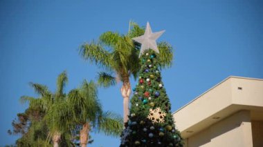 Santa Barbara, Kaliforniya 'daki Noel ağacı, güneşli bir günde palmiye ağaçlarının arka planına karşı. Yüksek kalite 4k görüntü