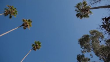 Los Angeles Caddesi, Kaliforniya, ABD 'deki Palms' ın geniş bir manzarası var. Hollywood 'daki Beverly Hills' in yaz atmosferi. - Evet. Yüksek kalite 4k görüntü