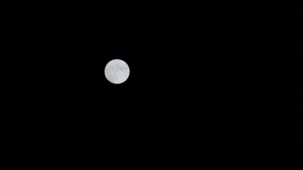 Lua Cheia Céu Limpo Noite Imagens Alta Qualidade — Vídeo de Stock