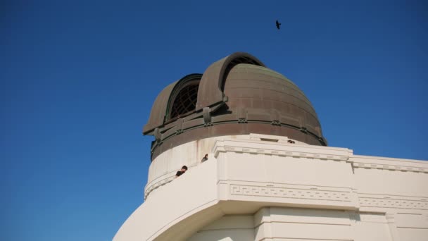 Постріл Елемента Обсерваторії Гріффіта Горі Голлівуд Літній День Центром Лос — стокове відео