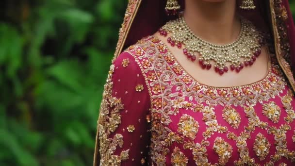Close Shot Elements Beautiful Kobieta Czerwona Ubrana Tradycyjny Indyjski Ślub — Wideo stockowe