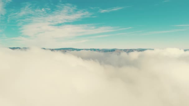Beyaz Kabarık Bulutlarda Uçan Sineklerin Hava Görüntüsü Evet Yüksek Kalite — Stok video