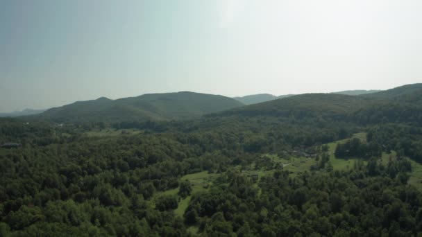 Panoramiczny Widok Karpaty Wysokiej Jakości Materiał — Wideo stockowe