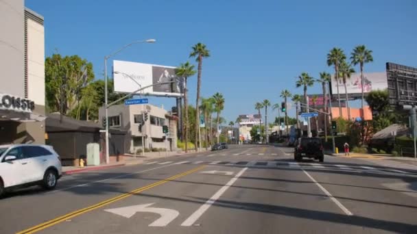 Pov Wide Footage Driving Hollywood Blvd Los Angeles Sunny Time — Stock Video