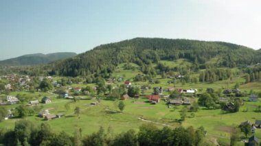 Karpat dağları ve yeşil ormanın havadan çekilmiş görüntüleri. Yüksek kalite 4k görüntü