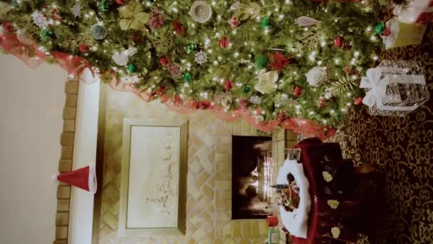 Decoraciones Regulares Del Árbol Navidad Habitación Disparo Vertical Imágenes Alta — Vídeos de Stock