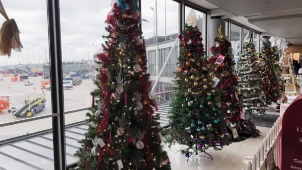 クリスマスの時間に国際空港Ordohareの内部 広いショット シカゴIl アメリカ 2023 高品質の4K映像 — ストック動画