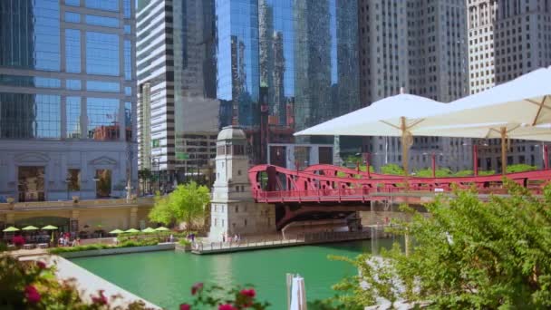 Город Большим Количеством Высоких Зданий Рекой Чикаго Высококачественные Кадры — стоковое видео