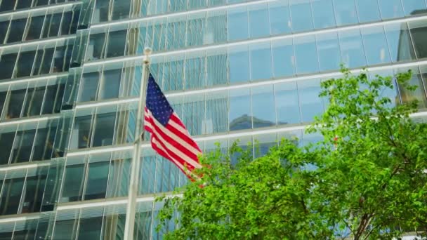 Amerikansk Flag Flyver Foran Tårnhøje Bygning Omgivet Frodigt Græs Par – Stock-video