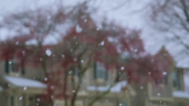 Voorsteden Besneeuwde Langzaam Gevallen Sneeuw Hoge Kwaliteit Beeldmateriaal — Stockvideo