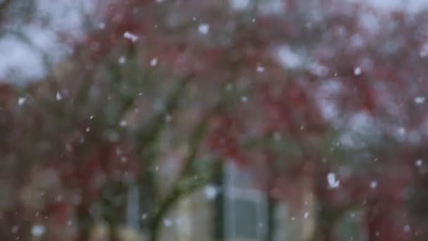 Voorsteden Besneeuwde Langzaam Gevallen Sneeuw Hoge Kwaliteit Beeldmateriaal — Stockvideo
