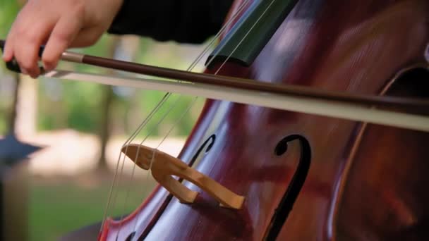 Крупный План Женщины Играющей Инструментах Виолончельного Оркестра Улице Высококачественные Кадры — стоковое видео