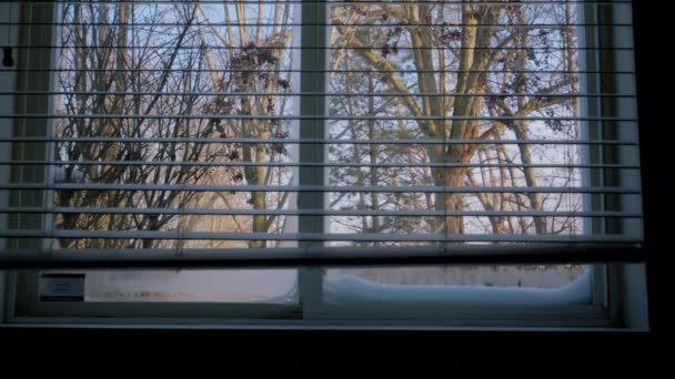Neve Caduta Vista Dalla Finestra Tende Alzano Filmati Alta Qualità — Video Stock