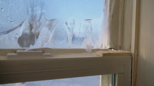 Evdeki Eski Pencerelerde Yoğunlaştırılmış Buz Kabarcıkları Manzarayı Kapat Yüksek Kalite — Stok video