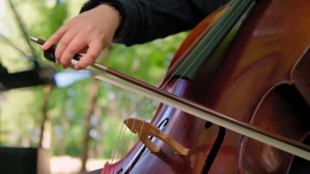 Zamknij Rękę Kobiety Grającej Instrumentach Orkiestry Wiolonczelowej Dworze Wysokiej Jakości — Wideo stockowe