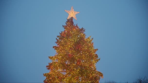 Chicago Christmas Tree Downtown Wide Shot Chicago Usa Jan 2024 — Stock 