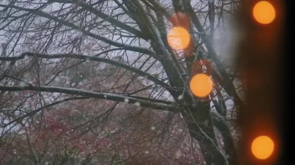 Nieve Caída Vista Desde Ventana Vista Desde Casa Imágenes Alta — Vídeo de stock