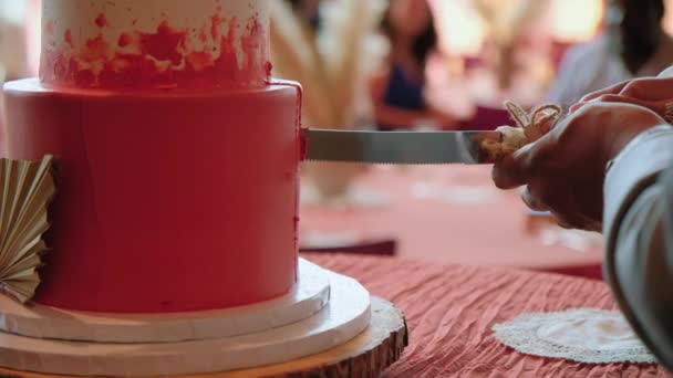 Una Sposa Uno Sposo Tengono Coltello Tagliare Una Torta Nuziale — Video Stock