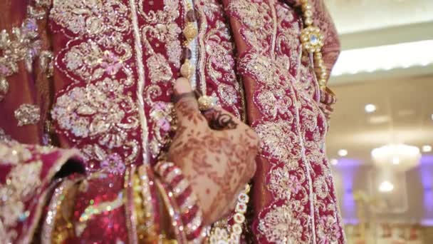 Zamknij Materiał Kobiecie Ubranej Czerwone Tradycyjne Indyjskie Ubrania Piaint Hand — Wideo stockowe