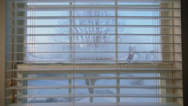 Evdeki Eski Pencerelerde Yoğunlaştırılmış Buz Kabarcıkları Pencere Elementinin Görüntüleri Soğuk — Stok video