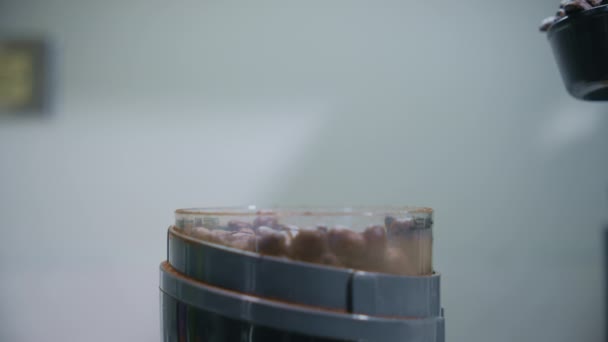 コーヒー粉砕機でコーヒー豆を投げてコーヒー豆を粉砕する スローモーション 高品質の4K映像 — ストック動画