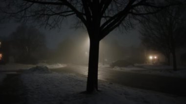 Gece karanlik sokak iskele isigi sisli. Yüksek kalite 4k görüntü