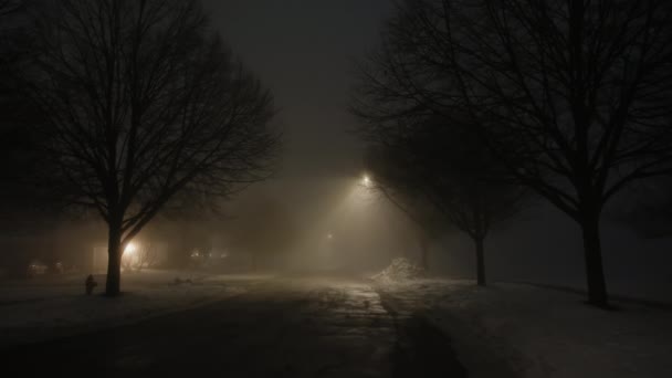 Ευρεία Βολή Του Σκοτεινού Δρόμου Που Φωτίζει Νύχτα Βαριά Ομίχλη — Αρχείο Βίντεο