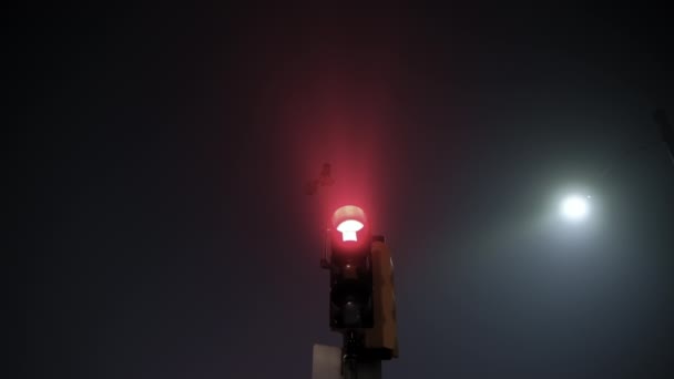 Semaforo Funziona Notte Alla Nebbia Filmati Alta Qualità — Video Stock