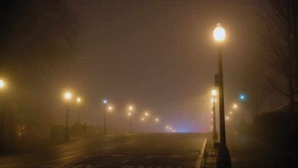 Порожня Дорога Туману Нічний Час Вуличні Ліхтарі Повільний Рух Високоякісні — стокове відео