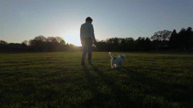 Parkta köpeği gezdiren kadın. seyahat konsepti. - Evet. Yüksek kalite 4k görüntü