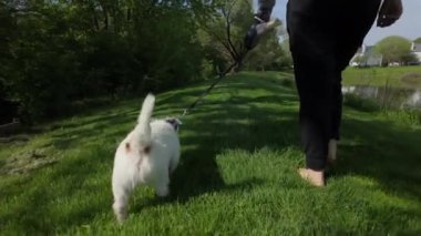 Parkta köpeği gezdiren çıplak ayaklı bir kadın. seyahat konsepti. - Evet. Yüksek kalite 4k görüntü