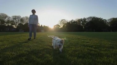 Parkta köpeği gezdiren kadın. seyahat konsepti. Ağır çekim geniş açı. Yüksek kalite 4k görüntü