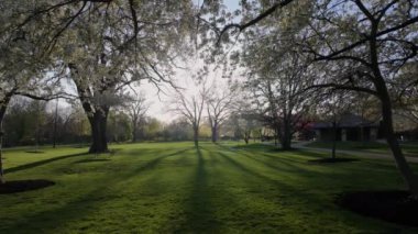 Baharda güneşli bir günde yeşil çimen ağaçları olan büyük bir halk parkı. Yüksek kalite 4k görüntü