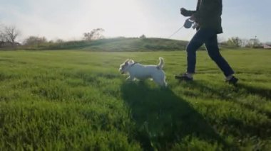 Parkta köpeğiyle birlikte koşan bir kadın. seyahat konsepti. Gün batımında çekimleri kapat. Ağır çekim. Yüksek kalite 4k görüntü