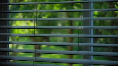 Güneşin pencere perdelerinden ve arka planda parlayan yeşil ağaçlardan görünüşü. Yüksek kalite 4k görüntü