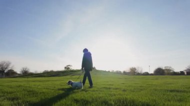 Parkta köpeğiyle yürüyen bir kadın. Geniş Ağır çekim. Yüksek kalite 4k görüntü
