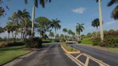Güneşli bir günde Florida caddesinde araba sürüyor. - Evet. Yüksek kalite 4k görüntü
