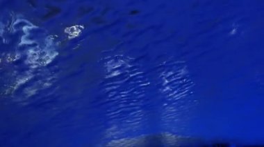 Arabanın içindeki araba yıkama sistemindeki görüntüler, otomatik araba yıkama sistemi. Geniş görüş. Yüksek kalite 4k görüntü