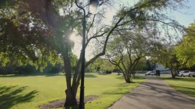 Güneşli bir günde yeşil çimen ağaçlarıyla halka açık bir park. Yaz zamanı. Kamerayı çek. Yüksek kalite 4k görüntü