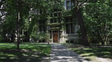 Yeşil bitkilerle kaplı eski taş bina. Yüksek kalite 4k görüntü