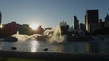 Buckingham Fountain, Chicago 'da Grant Park' ta. Yüksek kalite 4k görüntü